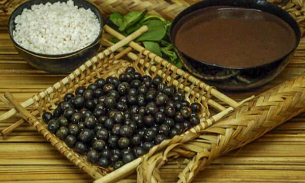 Comida: uma cesta de soluções para as Amazônias