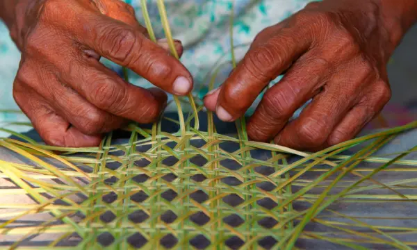 Projetos que unem cultura e clima podem receber R$10 mil