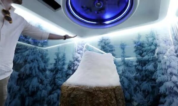 Os quartos de neve que ultrarricos instalam em casa para escapar do calor