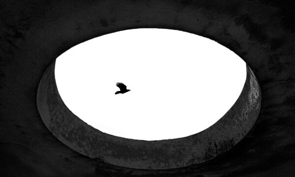 Quando a vida (biológica) desacontece