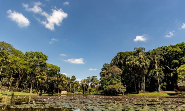 Jardim Botânico de SP abre as portas gratuitamente em aniversário