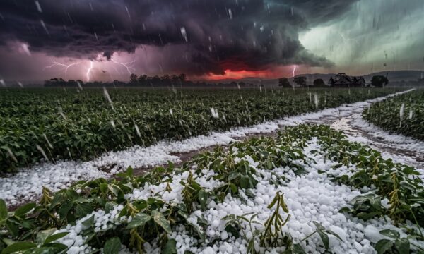 Onda de calor em outubro? Mês pode ter virada no tempo e chuva de mais de 100 mm no Brasil; veja a previsão para sua área