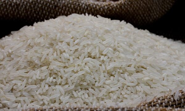 Disputa por arroz aumenta e saca chega perto de R$ 90 no RS