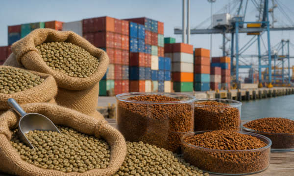 Exportação de café solúvel cresce 24,9% em agosto, diz Abics