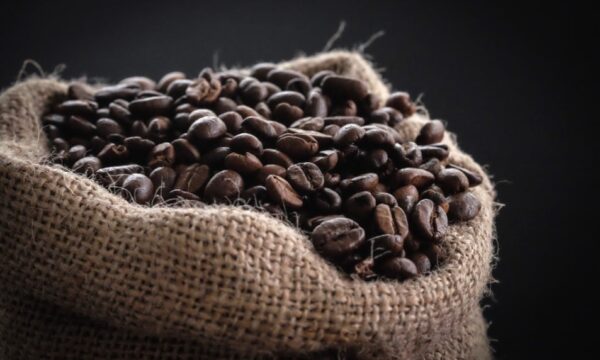 Vendas da safra 26/27 de café alcançam 41%, mas seguem muito abaixo da média