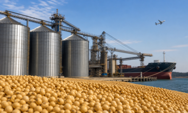 Balança comercial abre setembro com superávit de US$ 1,906 bilhão