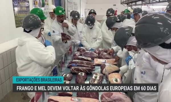 Frango e mel brasileiros devem retornar à União Europeia em 60 dias