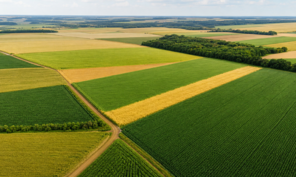 VBP da agropecuária é estimado em R$ 1,44 trilhão em setembro